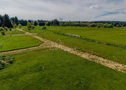 Prodej stavebního pozemku 213/28, 524 m², obec Zádub-Závišín, Mariánské Lázně.