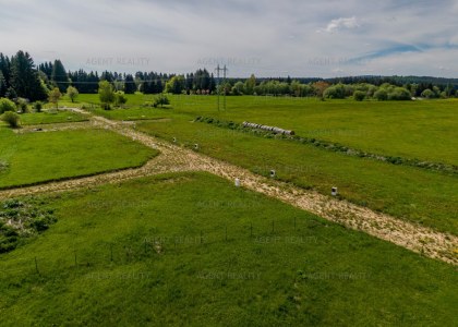 Prodej stavebního pozemku 213/32, 592 m2, obec Zádub-Závišín, Mariánské Lázně.