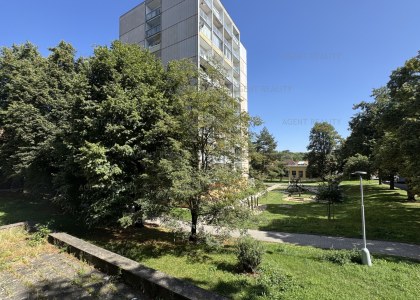 Světlý byt 2+1, 53m2 s balkóny, šatnou a výhledem do zeleně – Wilsonova, Slaný