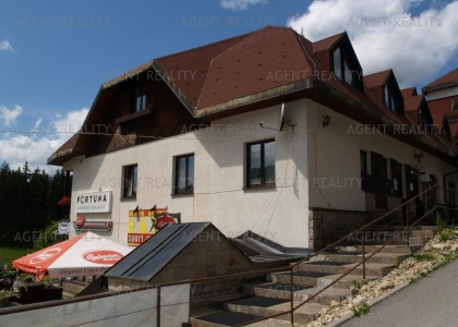 Prodej zavedeného pensionu 750m2 s obchodními prostory 200m2 a s dobrým výnosem v centru Harrachova.