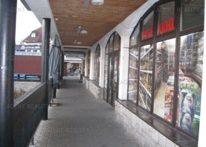 Prodej zavedeného pensionu 750m2 s obchodními prostory 200m2 a s dobrým výnosem v centru Harrachova.